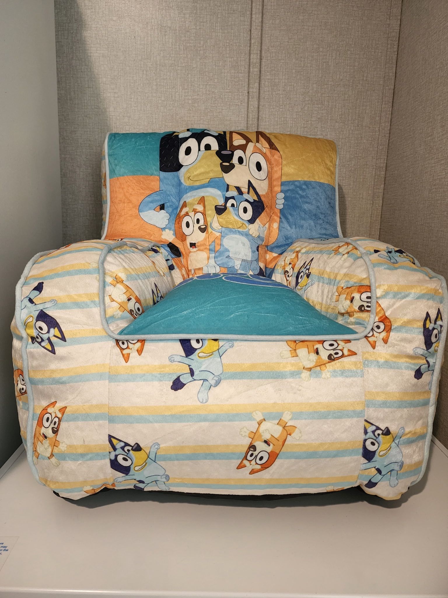 Bluey Square Beanbag Chair