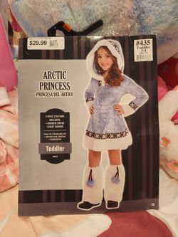Artic Princess costume