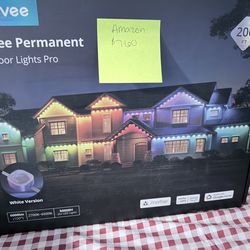Govee permanent lights