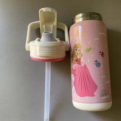 Zak! Disney Princess 14 oz Stainless Steel Kids Water Bottle