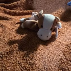 TY Toy