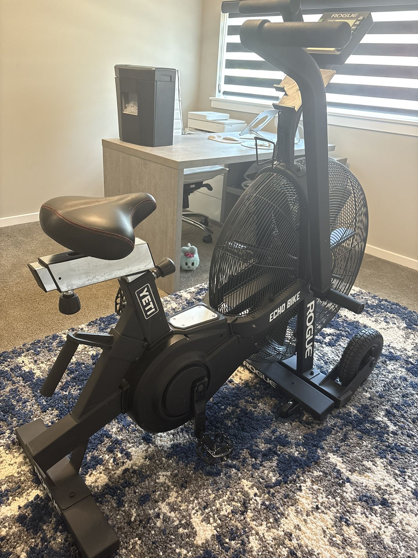 Rogue echo bike (Like new)