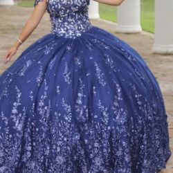 Navy Blue Quinceañera Dress