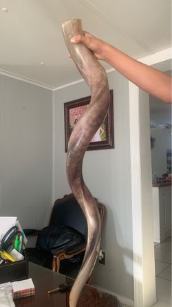Vendo shofar 32 pulgadas de alto $$300.00