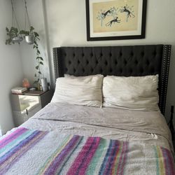 Queen Tufted Bed Frame 