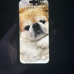 iPhone 14 Pro 256 / Unlocked / Purple