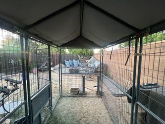 Retriever dog kennel