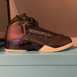 Air Jordan 17 Doernbecher Zach Size 12