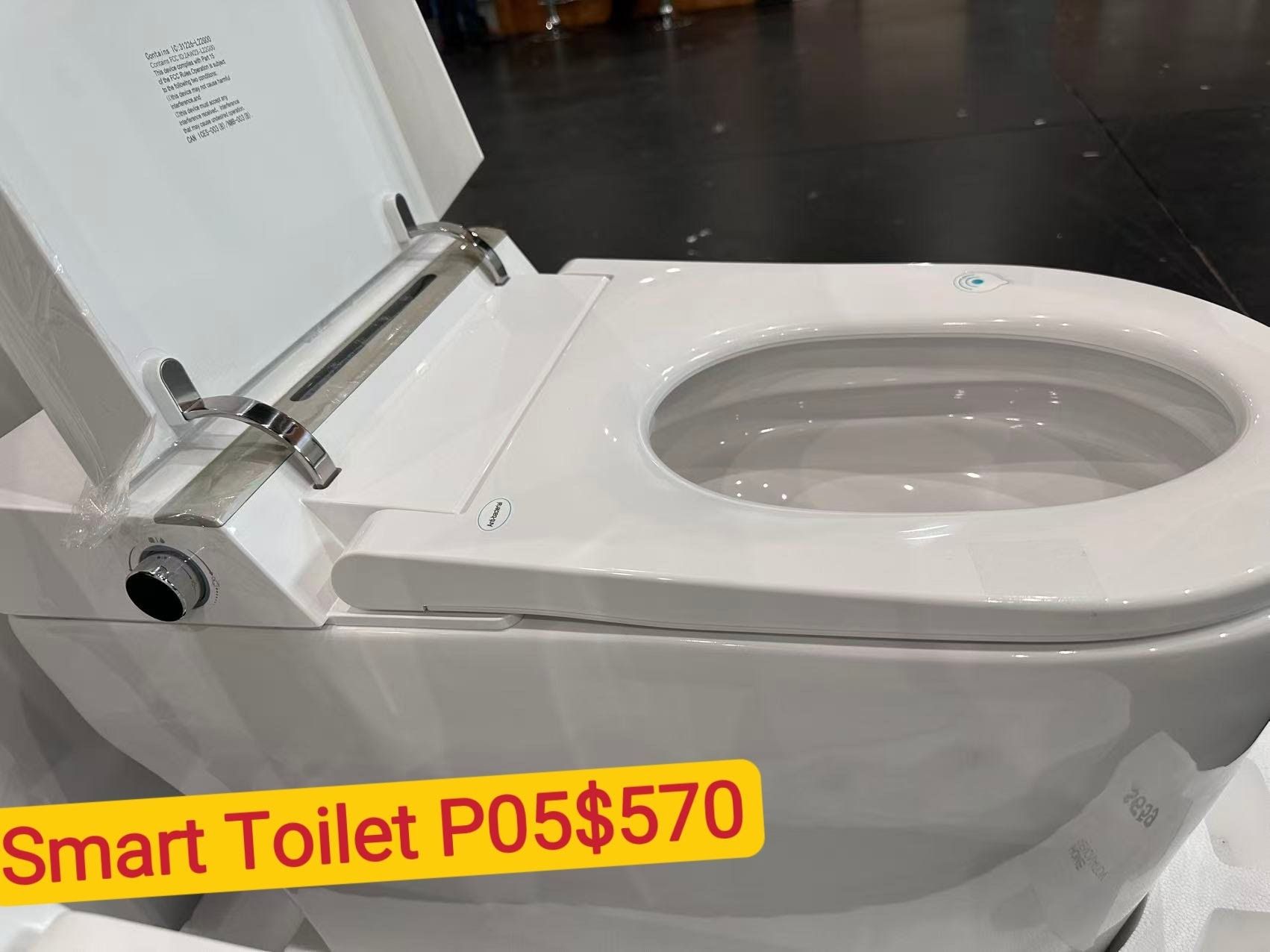 Smart Toilet:P05 10.0812