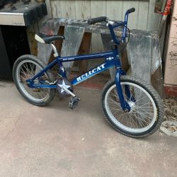 Free Agent Bmx Mid School survivor bicycle