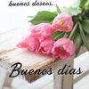 Susy