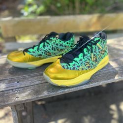 Jordan Shoes. Chris Paul. Seven. Brazil Sample.