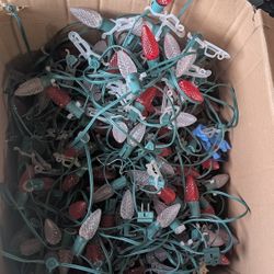 C7 Led Bulbs For Free