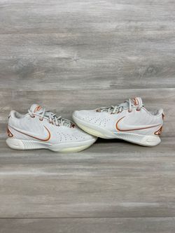 Nike LeBron 21 Akoya FV2345-001 Size 11.5 (PO1022443)