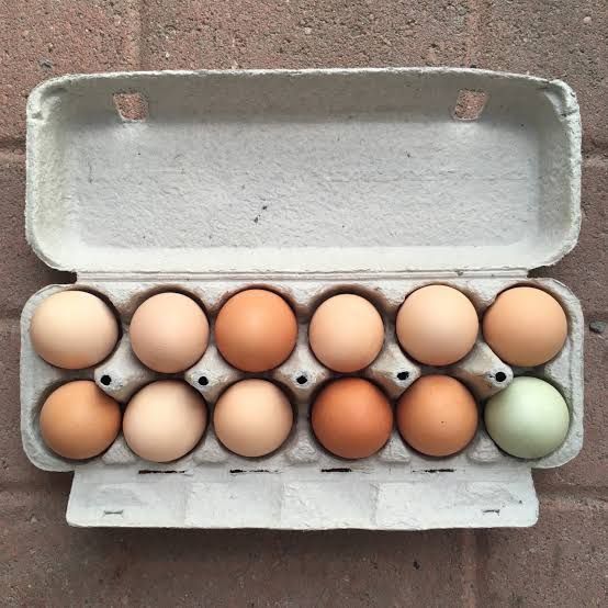 Farm Fresh Eggs! Wapato Area