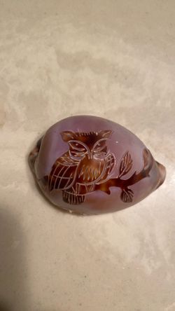 Half leopard shell w/ owl carving