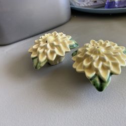 salt & pepper shakers  $10
