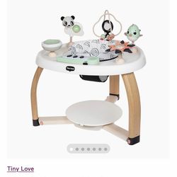 5-in-1 Stationary Activity Center Tiny Center