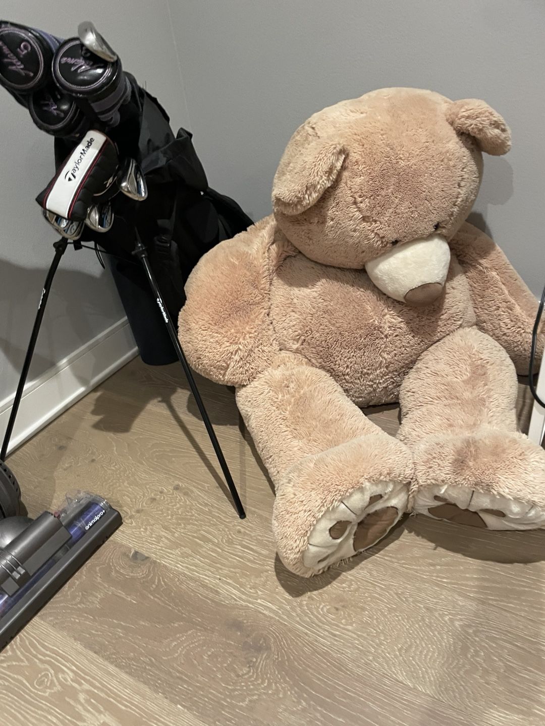Big Teddy Bear