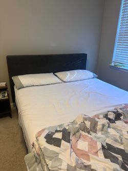 Queen Bed and bedframe