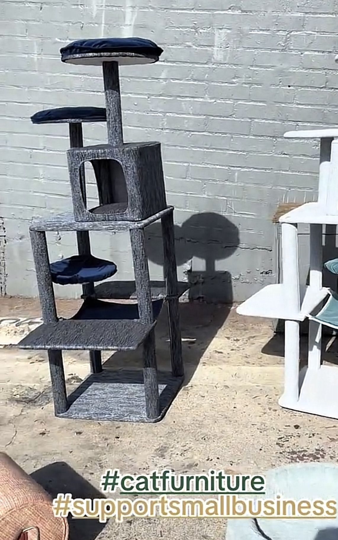 Cat Furniture