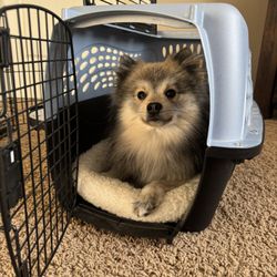 Dog and Cat Kennel - Plastic Crate for Pets