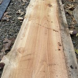 5 Cedar Live Edge Slabs Fir Shelving Etc 