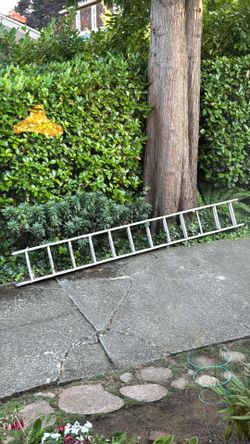 Aluminum Expansion Ladder