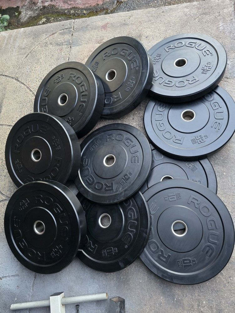 Weight Rogue Bumper Plates