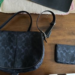 Women’s Purse 