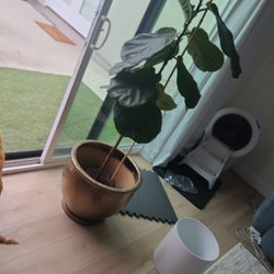 Ceramic Gold Plant Pot