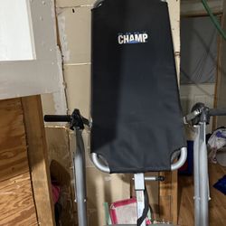 Inversion Table
