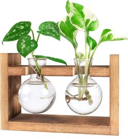 Terrarium Propagation Glass Bulb Vases W/ Wooden Stand