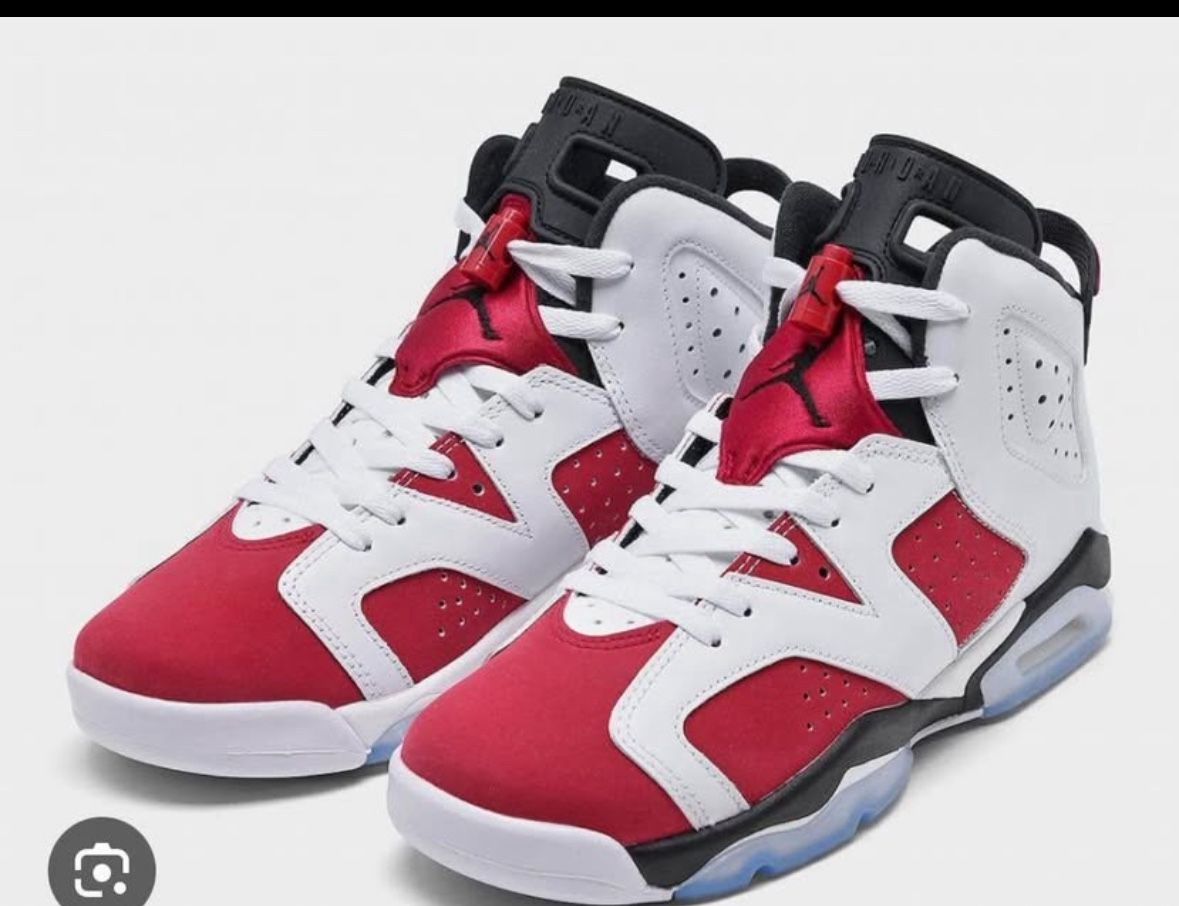 Jordan 6s Brand New