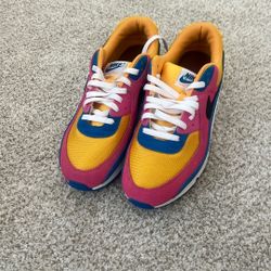 Nike Air Max 90 Multi Color Suede 