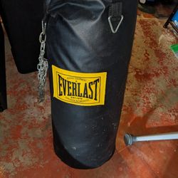 Everlast Boxing Bag