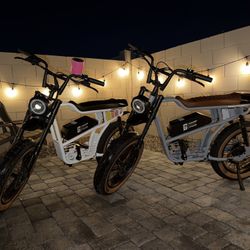 Panthro E-bikes