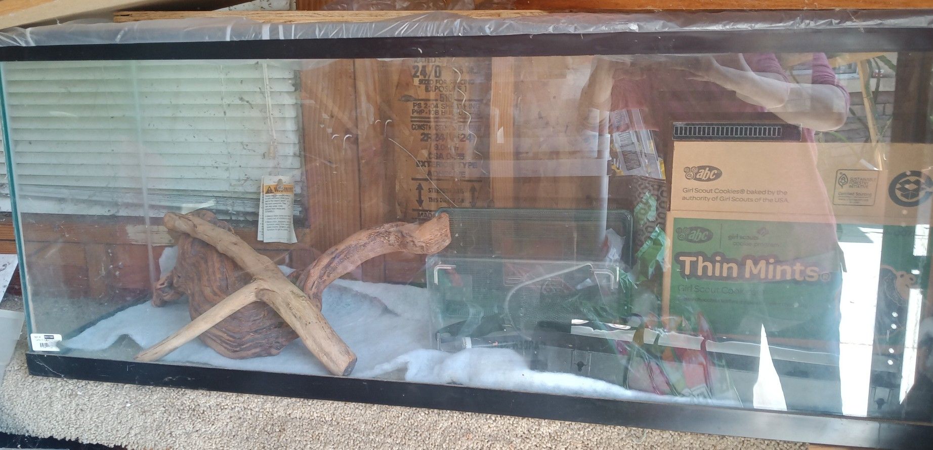 Large Reptile/Fish Tank