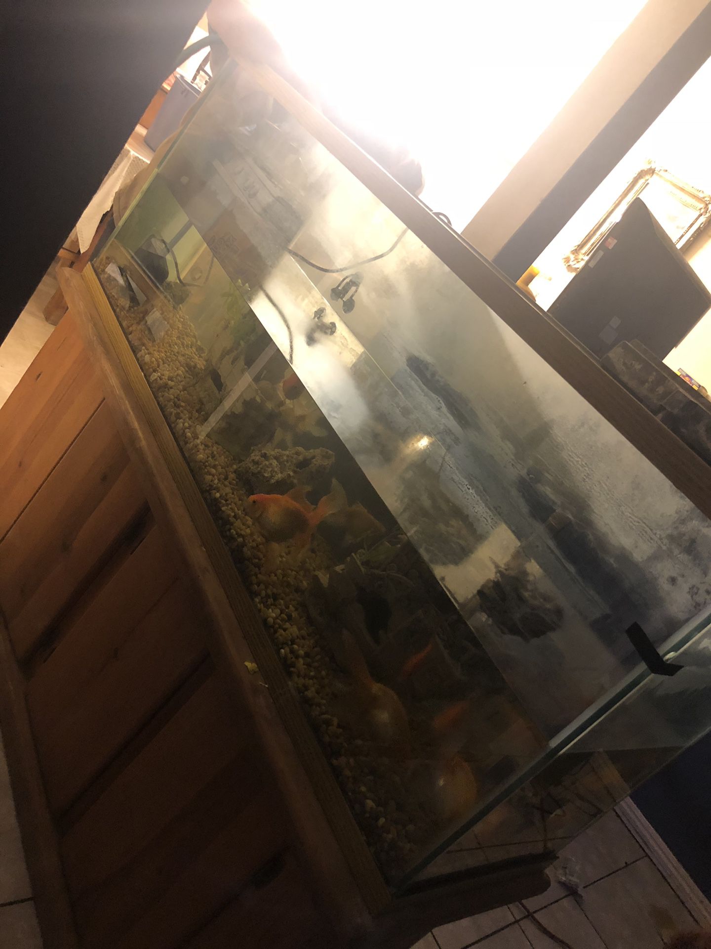 Fish tank