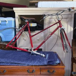 Viva Bellismo Bike