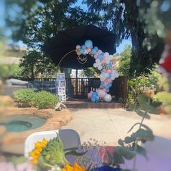 Gender Reveal Balloons
