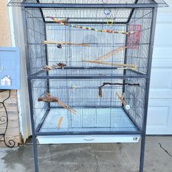 X-large Bird Cage 