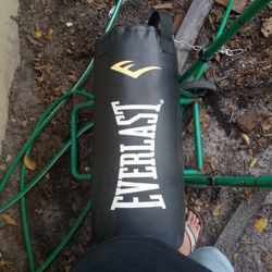 Everlast Punching Bag