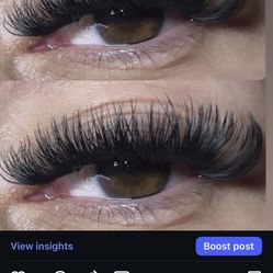 Lashes 