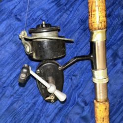 García Mitchell Reel And Pole