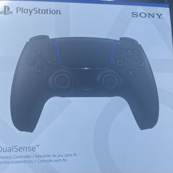 Ps5 Controller 