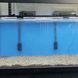 75 Gallon Acrylic Aquarium 
