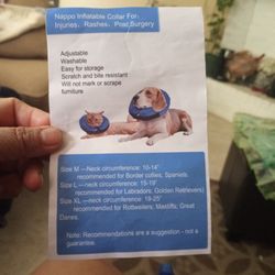 XL Inflatable Collar For Dog