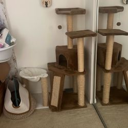 Cat Tree 