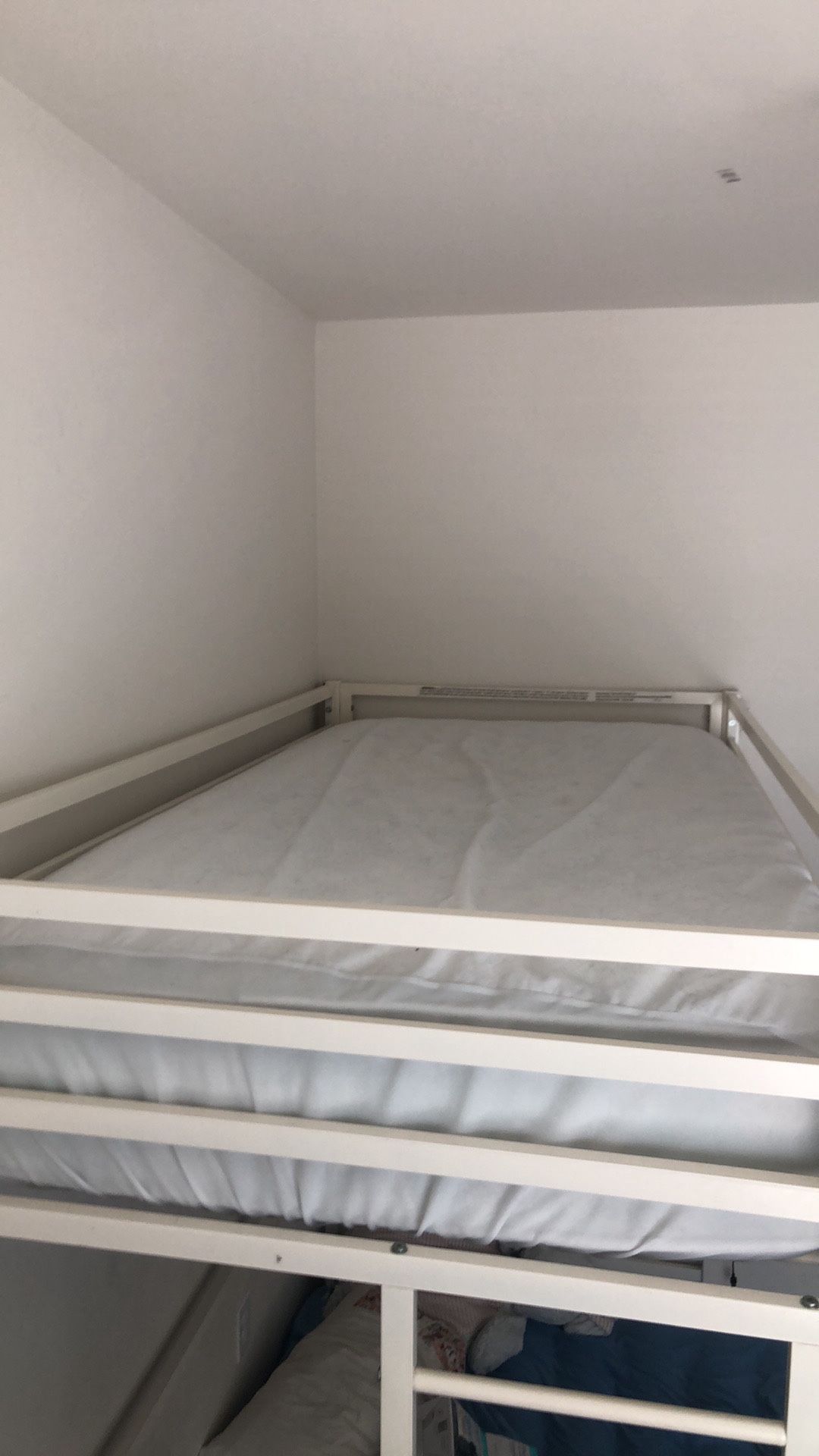 Loft Bunk Bed